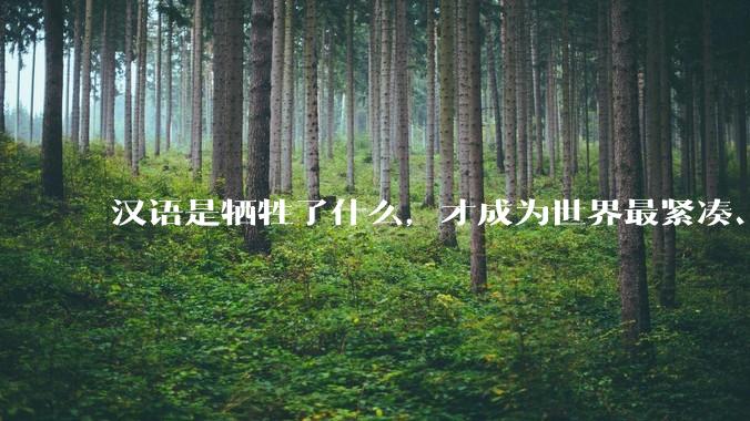 汉语是牺牲了什么，才成为世界最紧凑、最高效的语言？